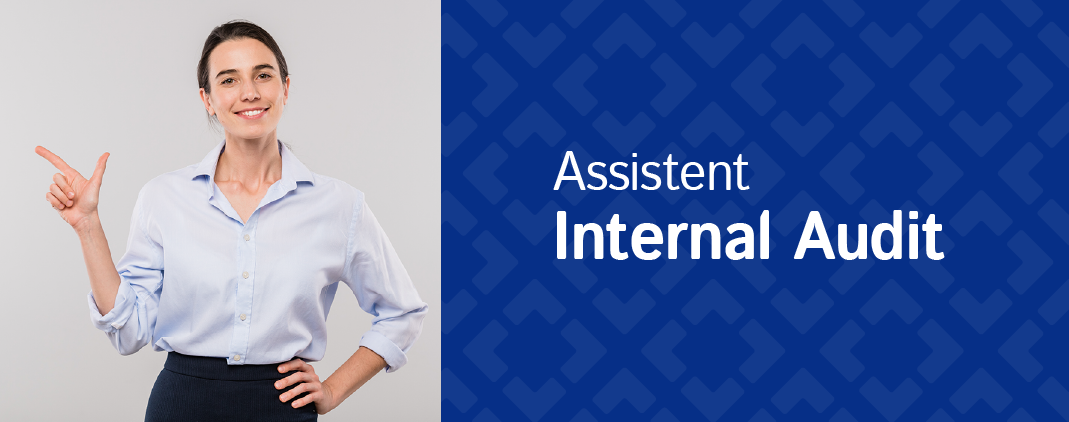 vacature internal audit image